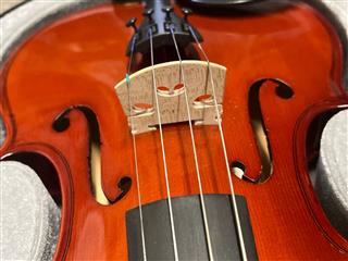 MAPLE LEAF STRINGS MLS110VN4/4